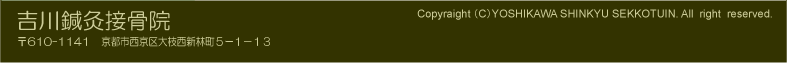 �g���I���ڍ��@�@Copyraight�iC�jYOSHIKAWA SHINKYU SEKKOTUIN. All right reserved. 