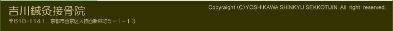 �g���I���ڍ��@�@Copyraight�iC�jYOSHIKAWA SHINKYU SEKKOTUIN. All right reserved. 