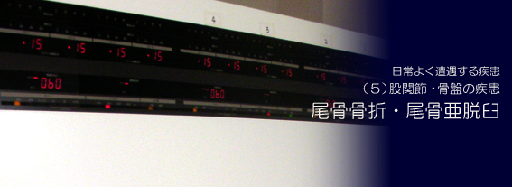 �������܁E�������E�P