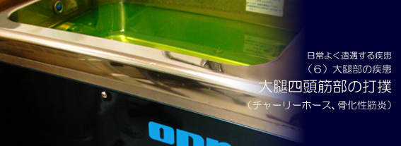 ��ڎl���ؕ��̑Ŗo