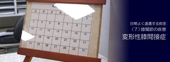 �ό`���G�֐ߏ�