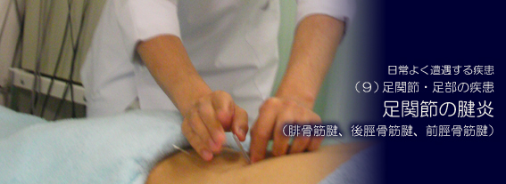 ���֐߂��F��