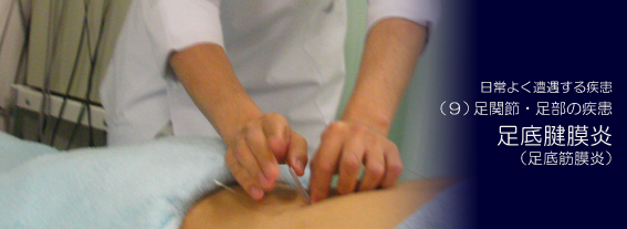 �����F����