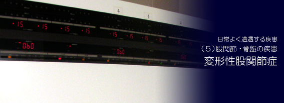 �ό`���Ҋ֐ߏ�