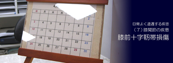 �G�O�\���x�ё���