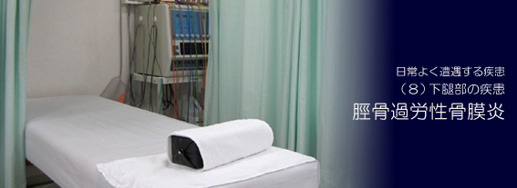 �����ߘJ���������i�V���X�v�����g�j