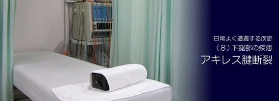 �A�L���X�F�f��