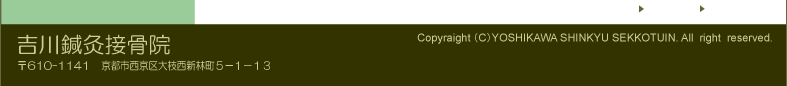 �g���I���ڍ��@�@Copyraight�iC�jYOSHIKAWA SHINKYU SEKKOTUIN. All right reserved. 