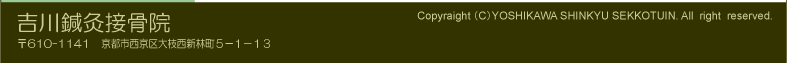 �g���I���ڍ��@�@Copyraight�iC�jYOSHIKAWA SHINKYU SEKKOTUIN. All right reserved. 