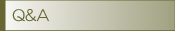 Q&A